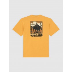 DICKIES T-SHIRT DARRTOWN...